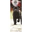 Magnet & Steel Calendario Staffordshire Bull Terrier 2025 Slimline