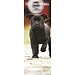 Magnet & Steel Staffordshire Bull Terrier Calendario 2025 Slimline