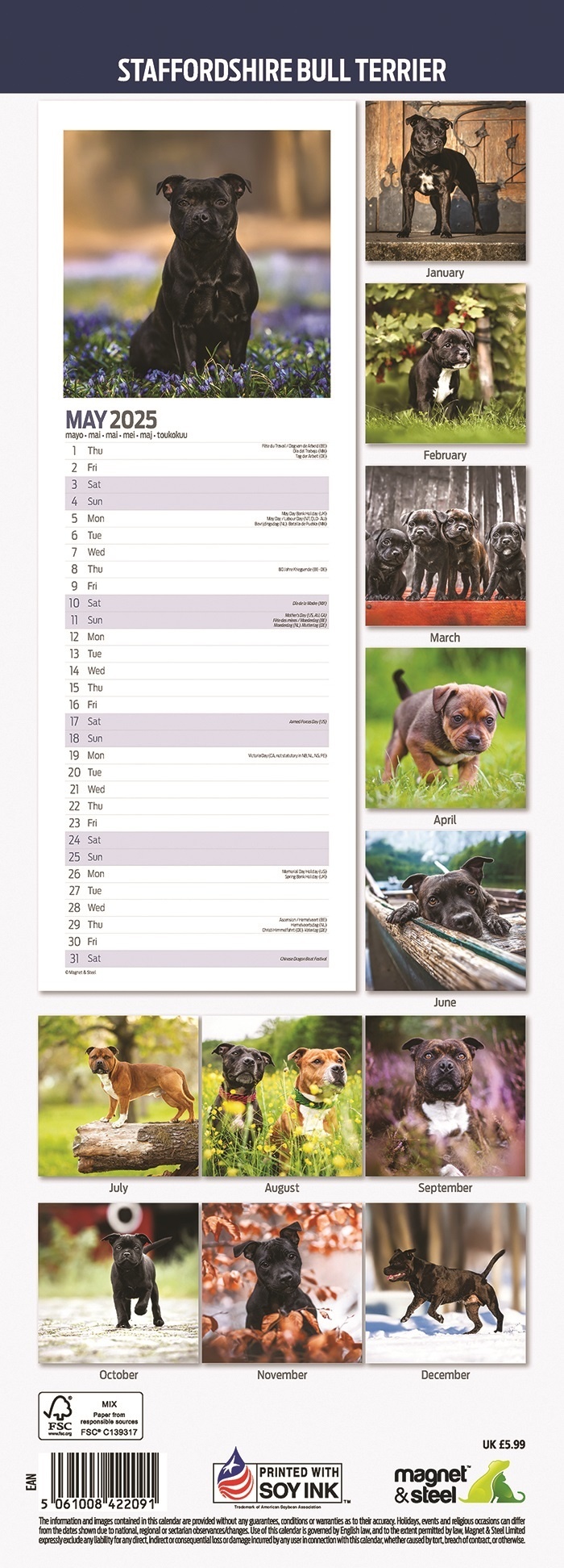 Calendario Staffordshire Bull Terrier 2025 Slimline