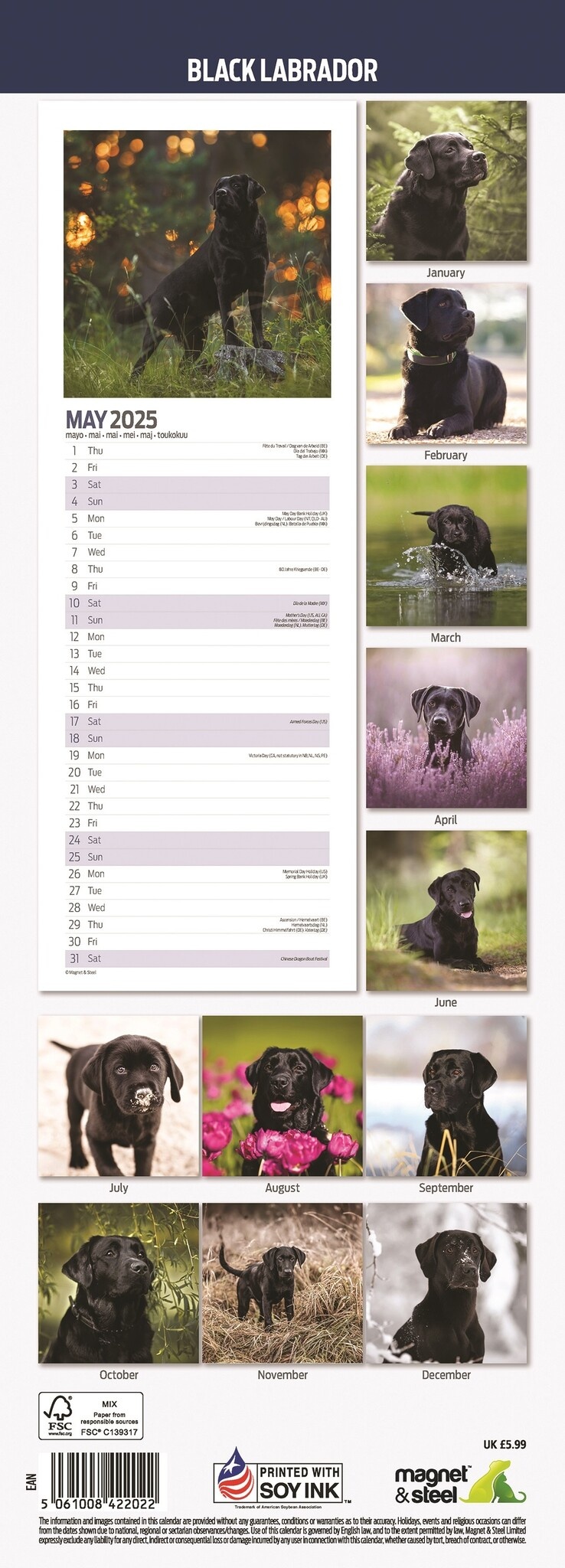 Buy Labrador Retriever Calendar 2025 Slimline? Order easily