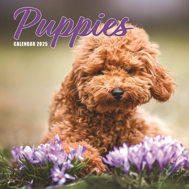 Puppies Calendar 2025