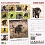 Labrador Retriever Zwart Puppies Kalender 2025