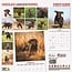 Labrador Retriever Brown Puppies Calendrier 2025