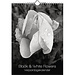 Comello Black & White Flowers Birthday Calendar