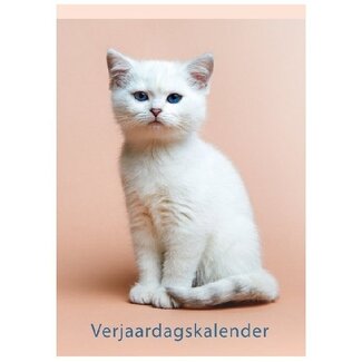 Lannoo Kittens Birthday Calendar