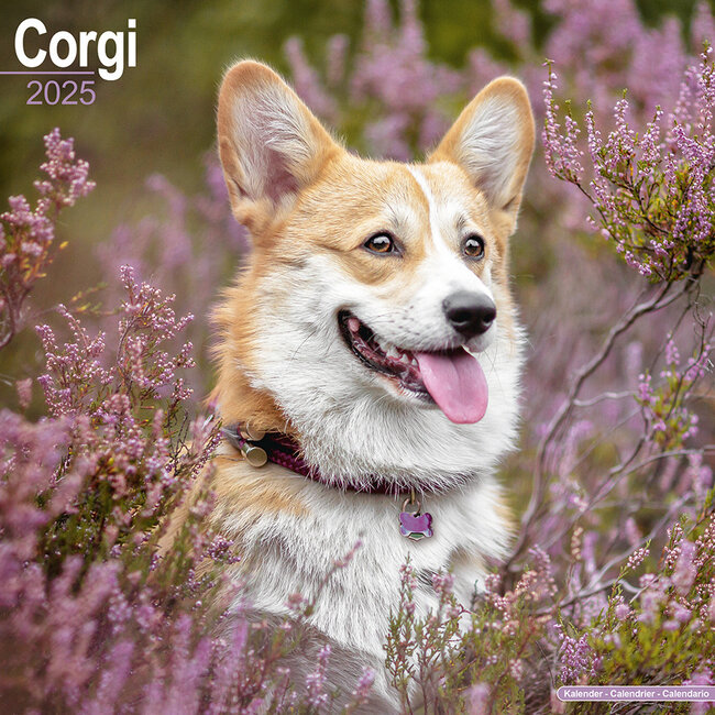 Calendario Welsh Corgi 2025
