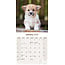 Calendario Welsh Corgi 2025