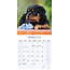 Calendario Rottweiler 2025