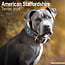 American Staffordshire Terrier Kalender 2025