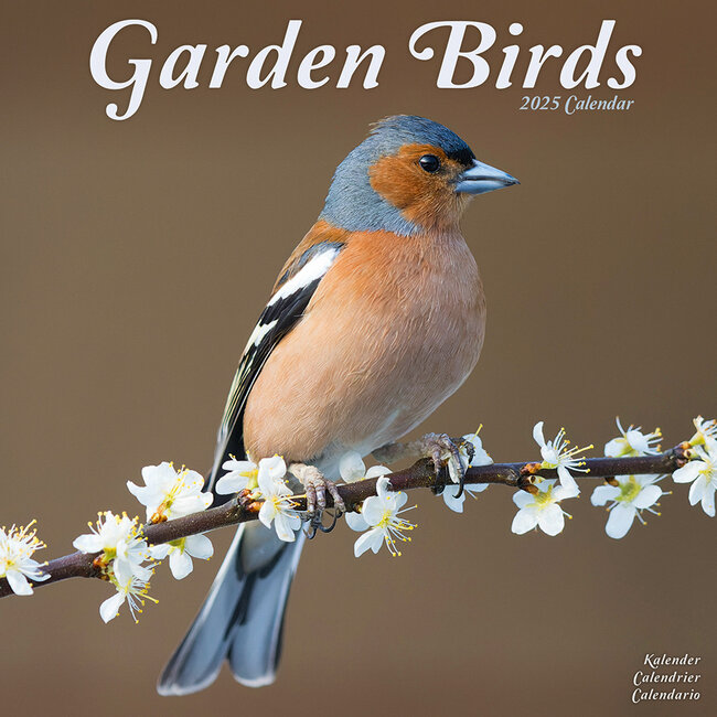 Calendario de aves de jardín 2025