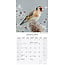 Calendrier des oiseaux de jardin 2025