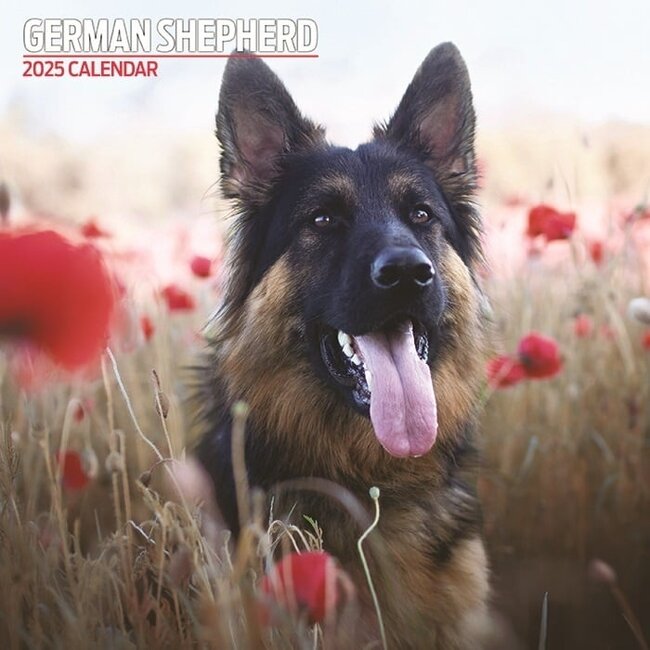 German Shepherd Calendar 2025