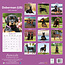 Calendrier Dobermann 2025 (US)