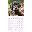 Calendrier Dobermann 2025 (US)