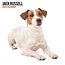 Calendario Jack Russell Terrier 2025 Moderno