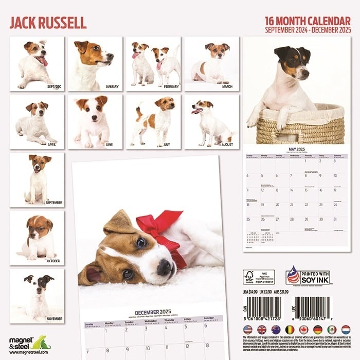 Jack Russell Terrier Calendrier moderne 2025 Acheter Commander en