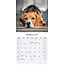 Beagle-Kalender 2025