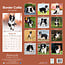 Calendario Border Collie 2025