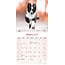 Border Collie Calendar 2025