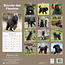 Bouvier Calendar 2025 (euro)