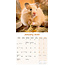 Hamster Calendar 2025