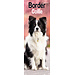 Avonside Border Collie Calendar 2025 Slimline