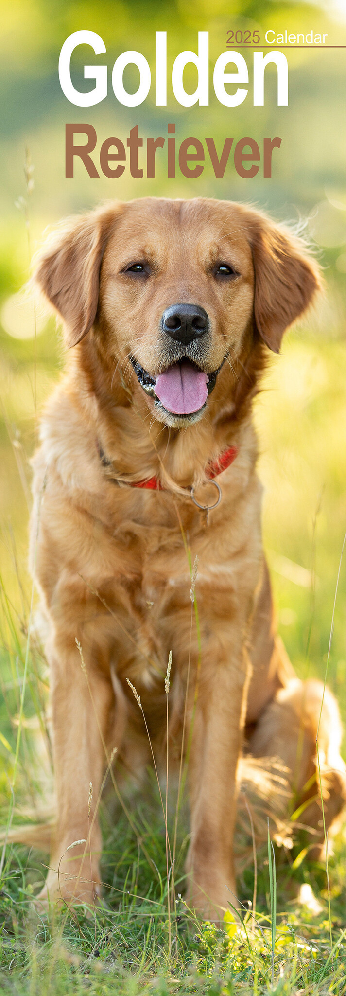 Comprar Calendario Golden Retriever 2025 Slimline orden fácil