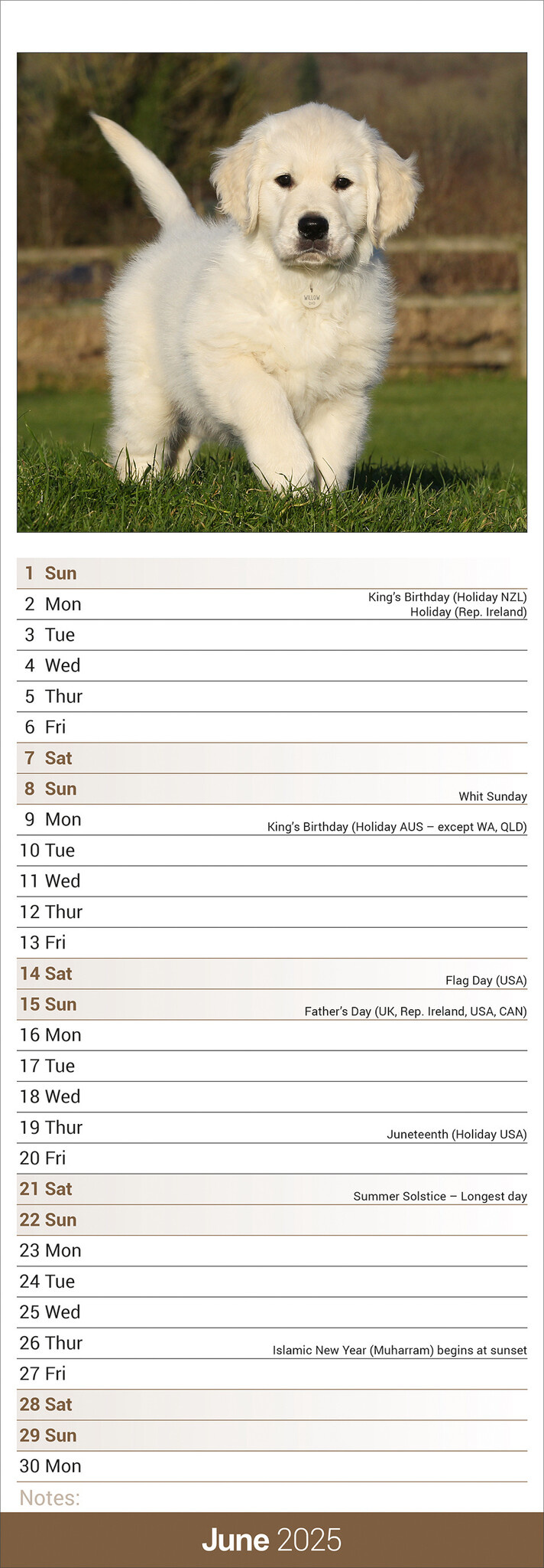 Comprar Calendario Golden Retriever 2025 Slimline orden fácil