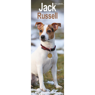 Avonside Jack Russell Terrier Calendar 2025 Slimline