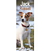 Avonside Jack Russell Terrier Calendrier 2025 Slimline