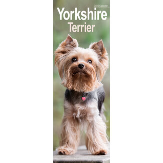 Avonside Yorkshire Terrier Calendar 2025 Slimline