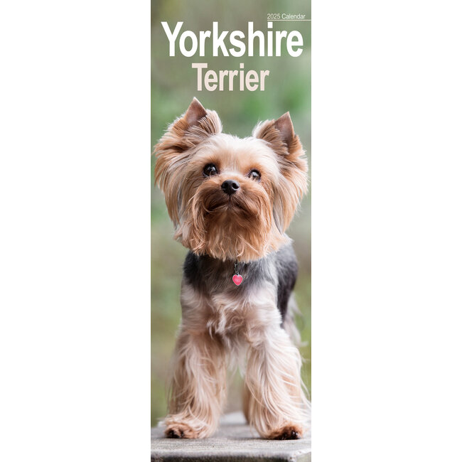 Calendario Yorkshire Terrier 2025 Slimline