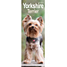Avonside Calendario Yorkshire Terrier 2025 Slimline