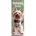 Avonside Yorkshire Terrier Calendrier 2025 Slimline