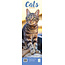 Cat Calendar 2025 Slimline