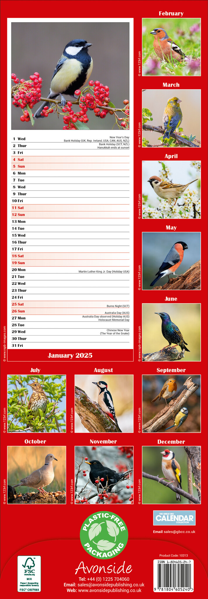 Buy Garden Birds Calendar 2025 Slimline simply order online