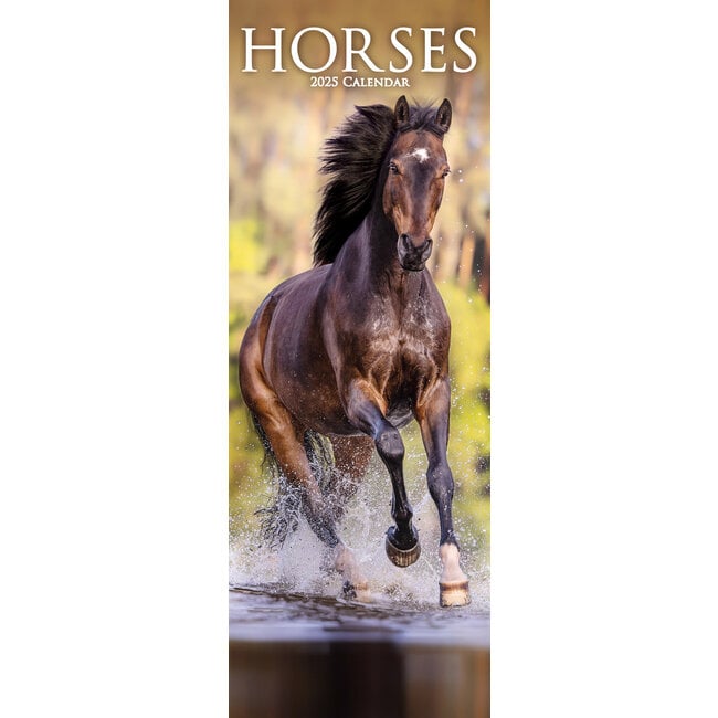Avonside Horses Calendar 2025 Slimline