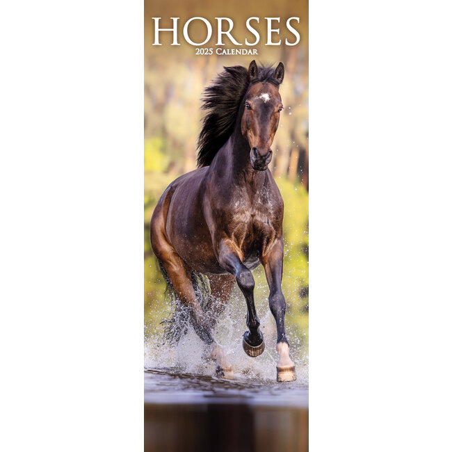 Horses Calendar 2025 Slimline