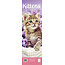 Kittens Calendar 2025 Slimline