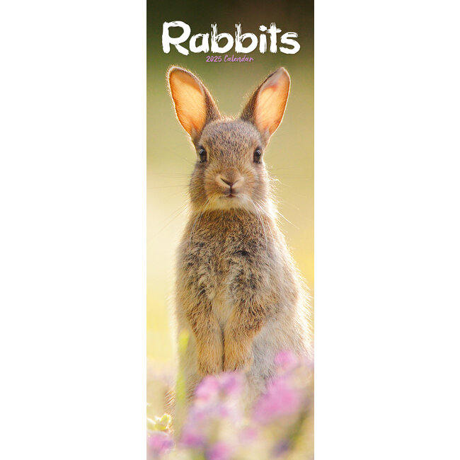 Calendario dei conigli 2025 Slimline