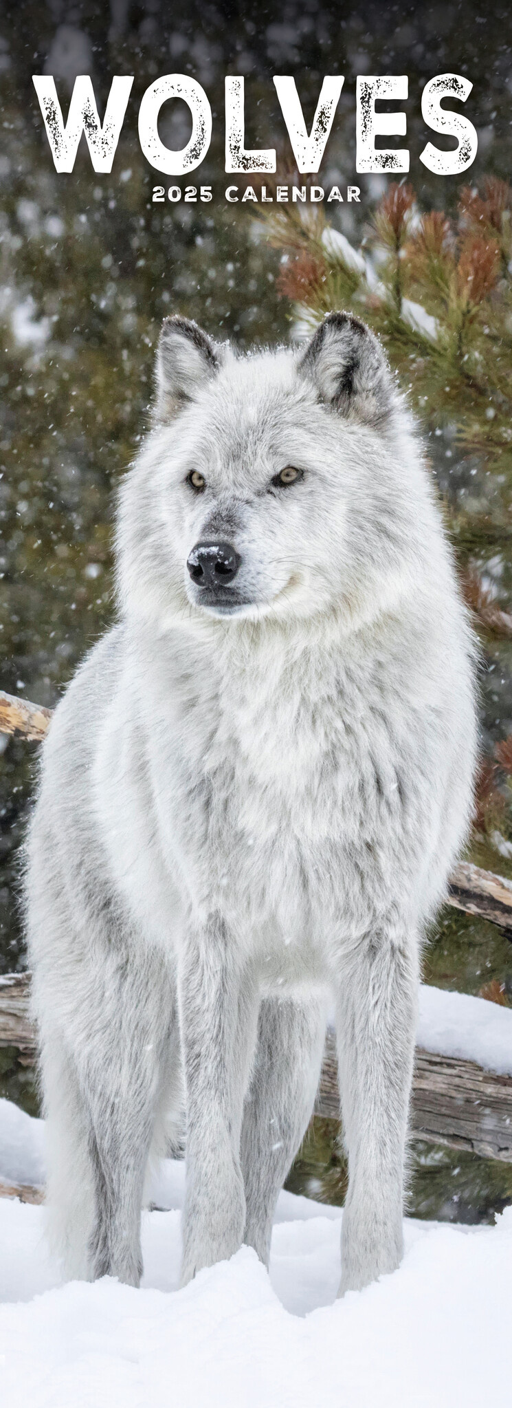 Comprar Calendario Lobos 2025 Slimline Simplemente haz tu pedido