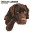 Labrador Retriever Bruin Kalender 2025 Modern