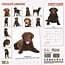 Calendario del Labrador Retriever marrone 2025 Moderno