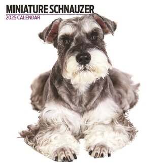 Magnet & Steel Calendrier Schnauzer miniature 2025 Moderne