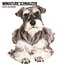 Magnet & Steel Miniature Schnauzer Calendar 2025 Modern