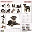 Miniature Schnauzer Calendar 2025 Modern