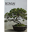 Bonsai-Kalender 2025