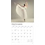 Ballet Kalender 2025