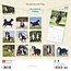 Bernese Mountain Dog Calendar 2025