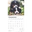 Calendario del cane da montagna bernese 2025